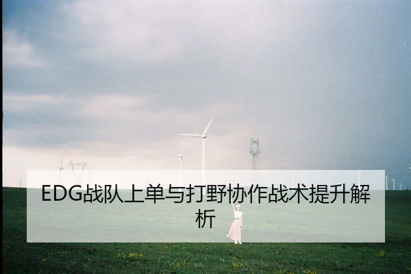 EDG战队上单与打野协作战术提升解析
